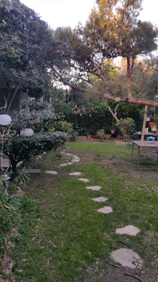 Jardin et bambous, studio cosy, classé Marseillan  Exterior foto