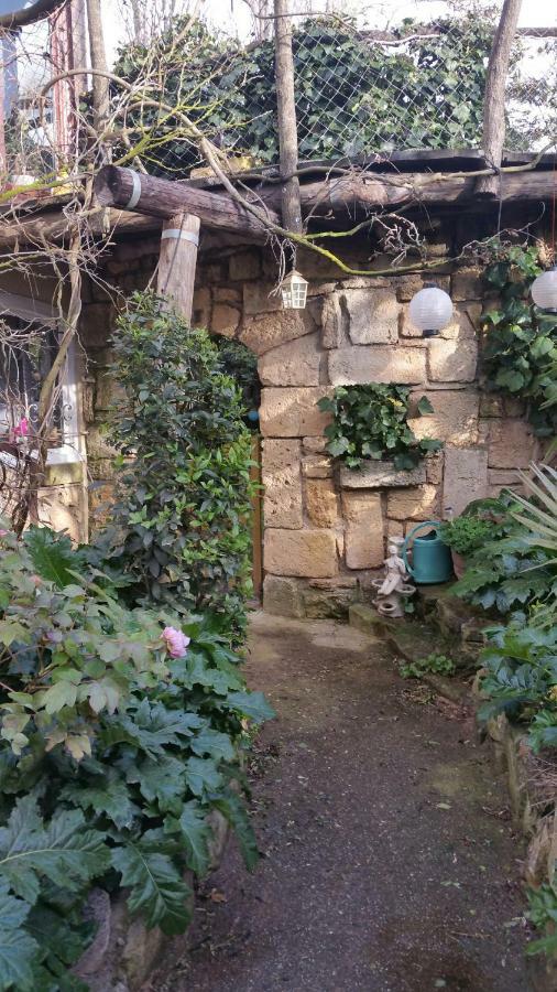 Jardin et bambous, studio cosy, classé Marseillan  Exterior foto