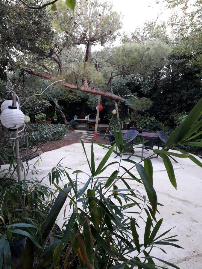 Jardin et bambous, studio cosy, classé Marseillan  Exterior foto