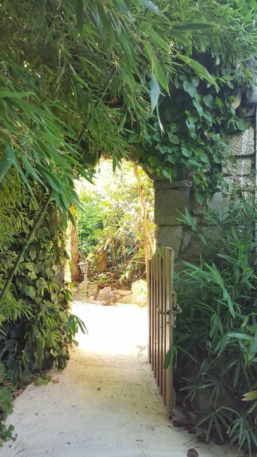 Jardin et bambous, studio cosy, classé Marseillan  Exterior foto