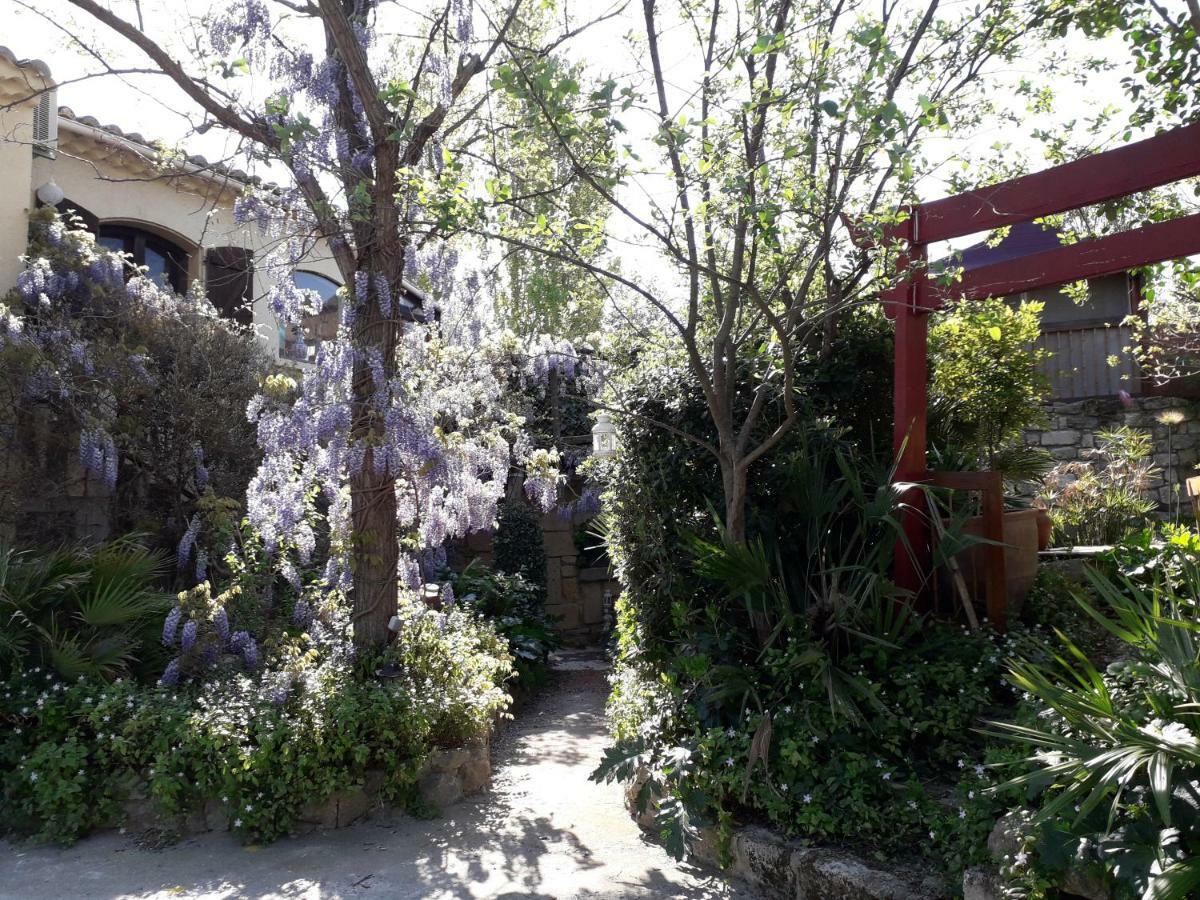 Jardin et bambous, studio cosy, classé Marseillan  Exterior foto