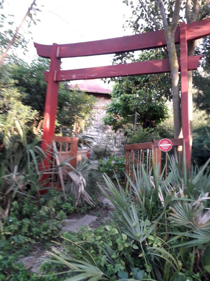 Jardin et bambous, studio cosy, classé Marseillan  Exterior foto